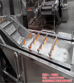 山東派菲克蔬菜噴淋清洗機 提升新疆蔬菜清洗效率的專業(yè)設備